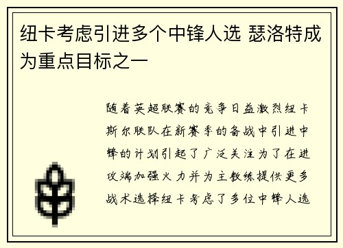 纽卡考虑引进多个中锋人选 瑟洛特成为重点目标之一